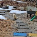 오드래산방 이미지