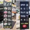 시드니램1901 이미지