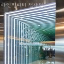 라인핏피티 이미지