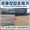 인천비지니스고등학교(37423) | 운동장잡초제거, 인천 비즈니스고등학교 운동장정비 세심하게