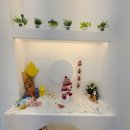 베르펫살롱 이미지