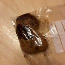 썬레코드(SUN RECORD) | [주간 에스토니아 7] 심심할 땐 무조건 밖으로