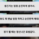 에버턴 현지팬 댓글에서 손흥민 캐해 이미지