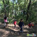자유유치원 이미지