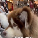 뽑앗쓰 네이버블로그