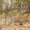 산속농장 이미지