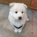"FILA 모다아울렛점" 방문 후기