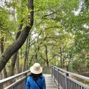 둘리쌍문공원 유아숲체험장 이미지