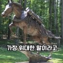 미국 100대 영웅 선정된 한국말 '레클리스(Reckless)', 미해병대 최초 동물 하사 이미지