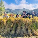 서울농장 이미지