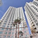 푸른1공인중개사사무소 이미지