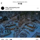 스테이영양둘째 이미지