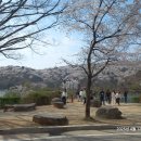 경기도 용인시 호암미술관 여행. 이미지