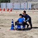 일월초교병설유치원 이미지