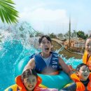 스플라스리솜 이미지