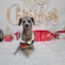 (주)서일팜텍 이미지