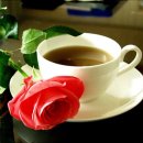 함양여자중학교 18회졸업생을 찾습니다 이미지