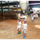 아름목장 이미지