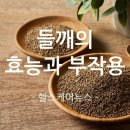 변비에 들깨 효능? . 이미지