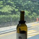 우리동네파스타 | 수원 조원동맛집 &#34;양식집순한&#34; 우리동네 찐 파스타맛집 추천