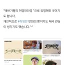 트리플안경 이미지