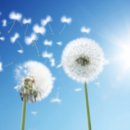 봄메디케어 이미지