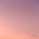 양식단지 앞 이미지