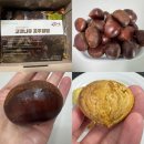 금강농협 | 위즈랜드안심스토어 공주지역 농협에서 2025년 수확한...사이즈 2kg 주문 후기 ( + 밤 맛있게 먹는법...