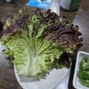 이가네야채곱창 이미지