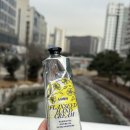 러쉬 플랙씨드 핸드크림 후기 아마씨 보습 효과 겨울 핸드크림