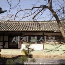 선인민박 이미지