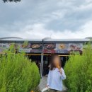 양양 오산리선사유적박물관 관람 꿀팁 | 체험비, 주차, 유물 열쇠고리 만들기 후기