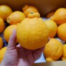 온새미영농조합법인 이미지