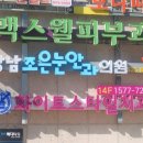 조은안과 이미지