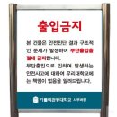 지니