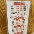 온천천시민공원 동백 이미지