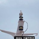 유람선오락실 | 서울 여의도 가볼만한곳 한강 크루즈 이색 유람선 데이트 후기