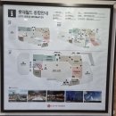 월드트래블 | 카카오뱅크 달러박스, 수수료 0원 실화? 국내 ATM 출금 후기 (신한 트래블라운지 롯데월드점)