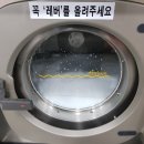 부영기계세탁 네이버블로그