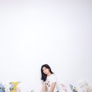 레드셔터 이미지