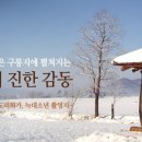 농업회사법인넓은들주식회사