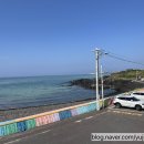 금성브릿지 민박 이미지