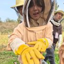 스마트도시통합운영센터 옆 | 2025 RISE 도시양봉 2차 교육 후기연암대학교 × 온택 Bee,Plenty × 충청남도 × 충남 RISE센터