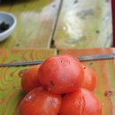 잔디밭민박 이미지