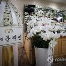 조화 이미지