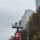 동대구로 이미지