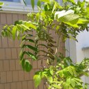 유창민박 이미지