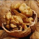 M메디칼 이미지