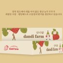 단디디자인