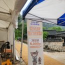 명장시대 김해점(권다정) | 2026 문경새재에서의 찻사발축제 비 오는 날 방문후기